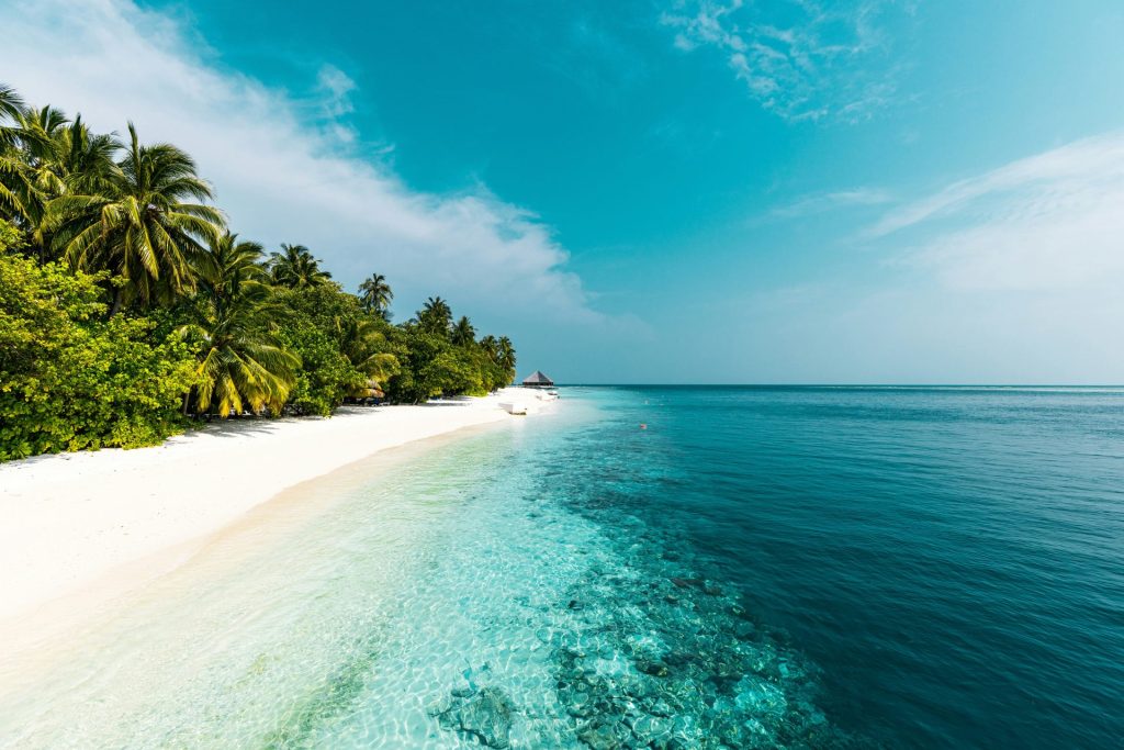 a tropical beach with palm trees and clear water