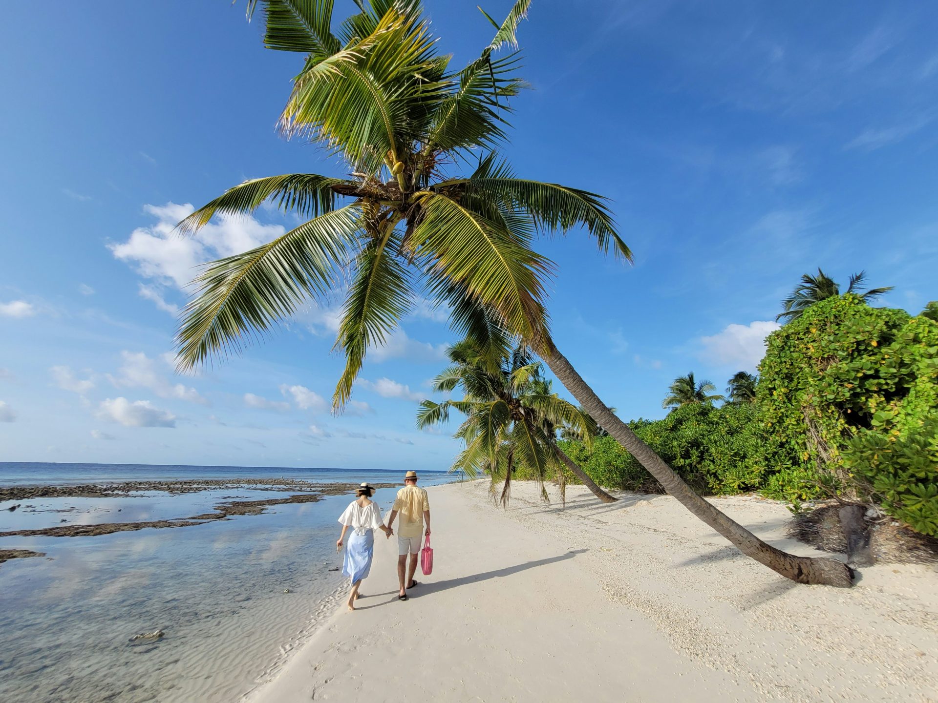 Couple walking on a tropical beach with palm trees.